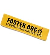 Foster Dog Leash Sleeve - Funny Yellow Alert Wrap with Hanging ID Patch | Looking for My Forever ...