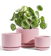LE TAUCI Ceramic Plant Pots, 4.3+5.3+6.8 inch, Set of 3, Planters with Drainage Hole and Saucer, ...