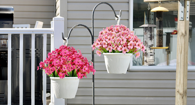 flowers for decoration