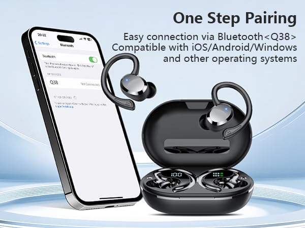 Earbuds With Ear Hooks