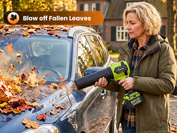 Blowing leaves
