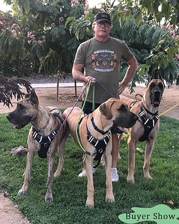 heavy duty rope leash