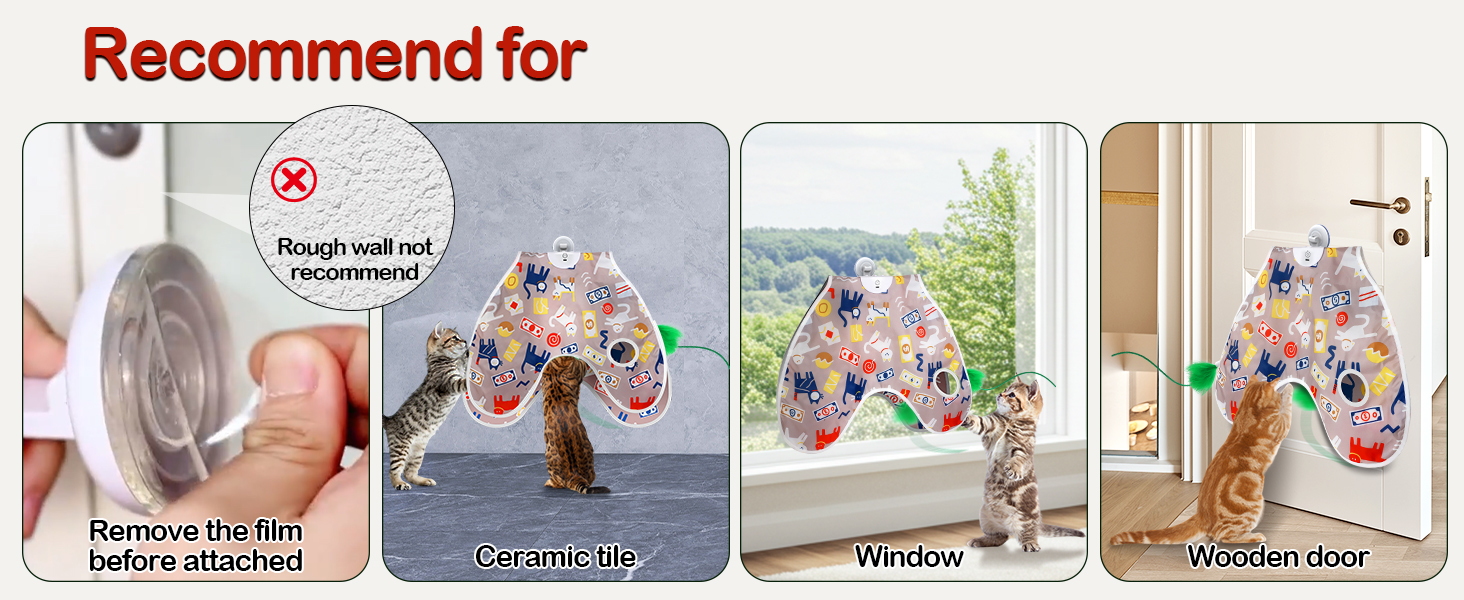 wall-mount cat toy