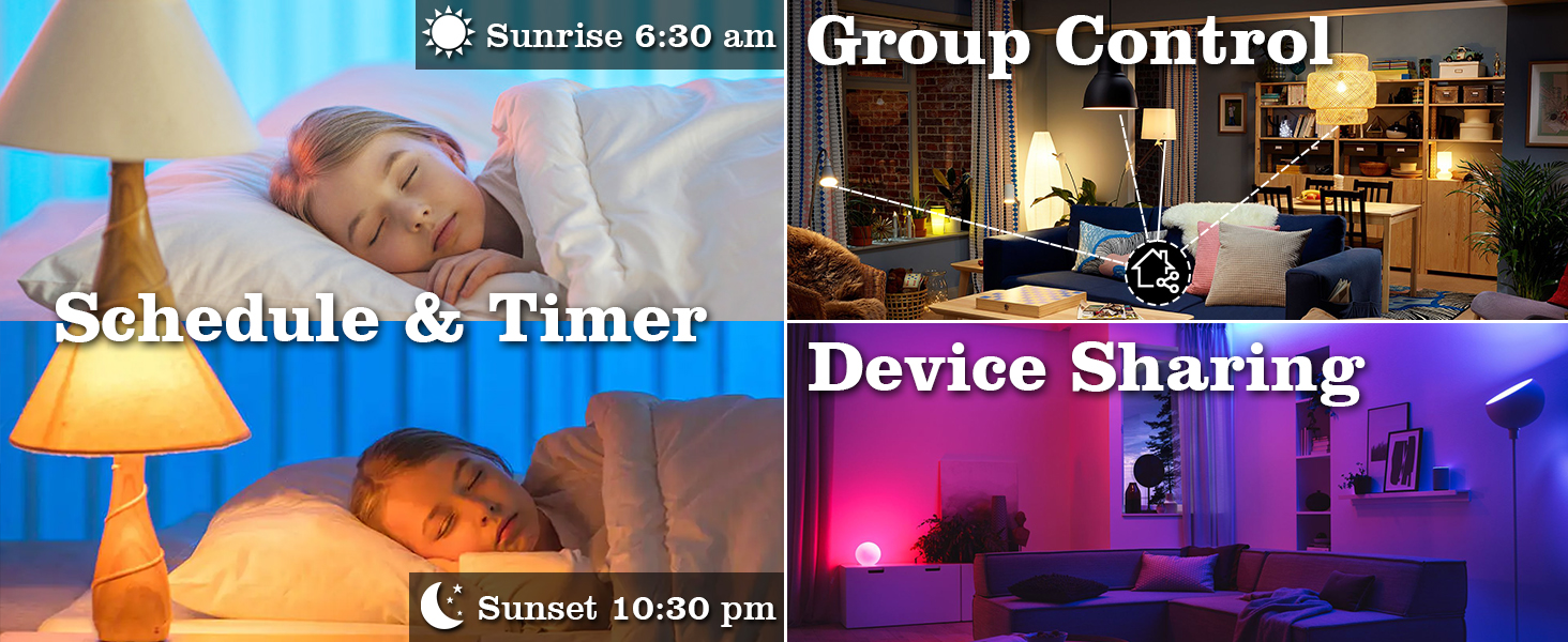 schedule & group
