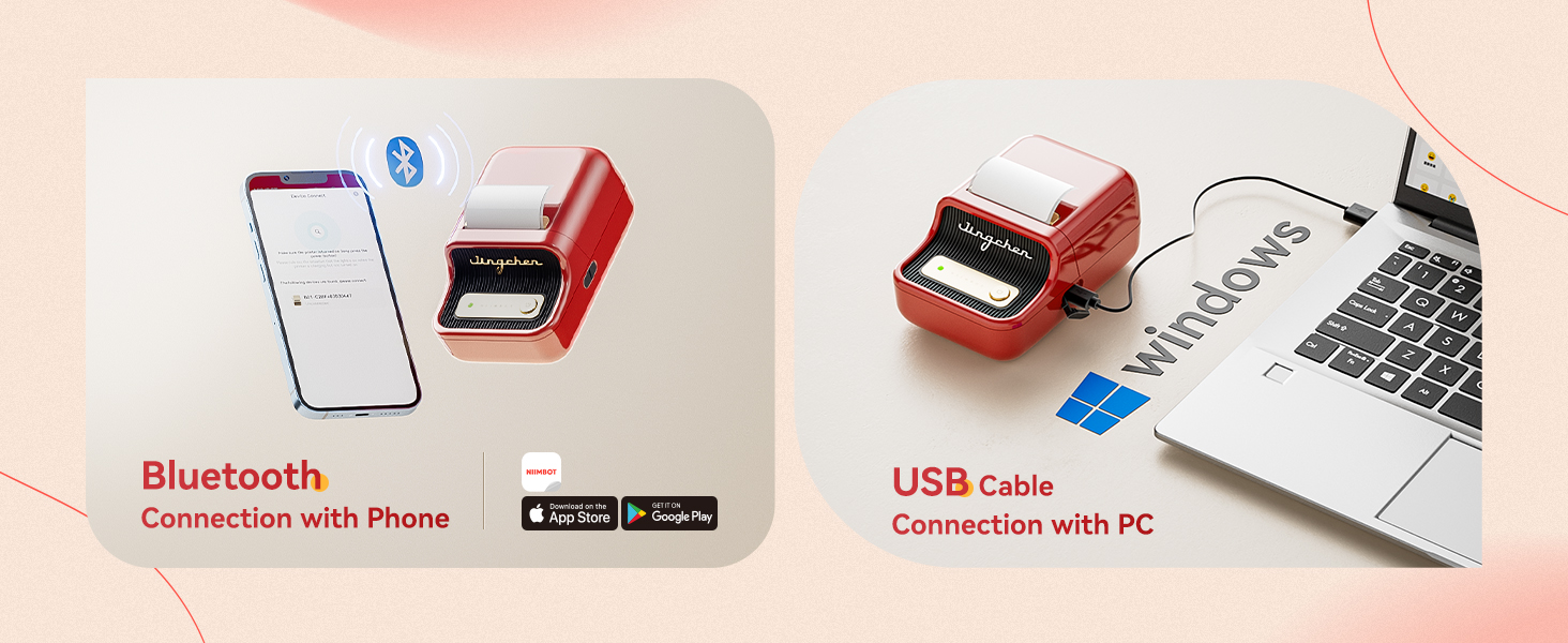 NIIMBOT B21 Label Maker with tape for gift