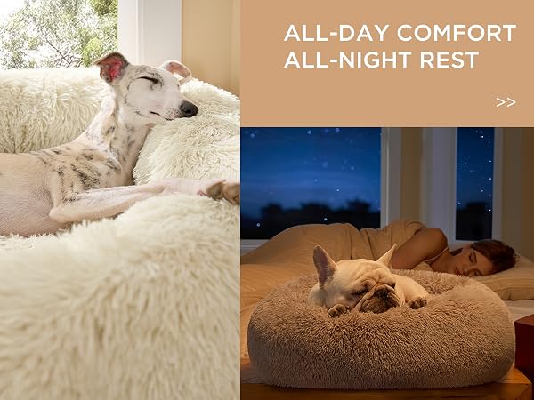 CALMING DOG BED