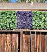 Patio Paradise 6pcs 20"x20" Artificial Purple Lavender Hedge Panel, Decorative Privacy Fence Scre...