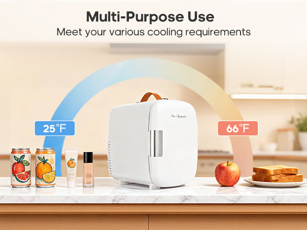 DUMOS Mini Fridge For Bedroom