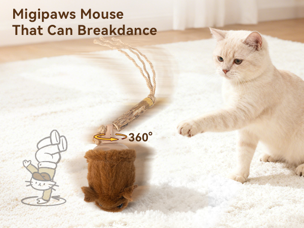 interactive cat toy motion sensor cat toy rechargeable cat toy smart cat toy