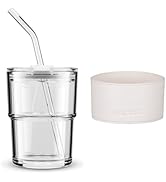 BLUEPOLAR 13 oz Tumbler Water Glass, Water Bottle with Straw and Dustproof Lid, Coffee Ice Cup Do...