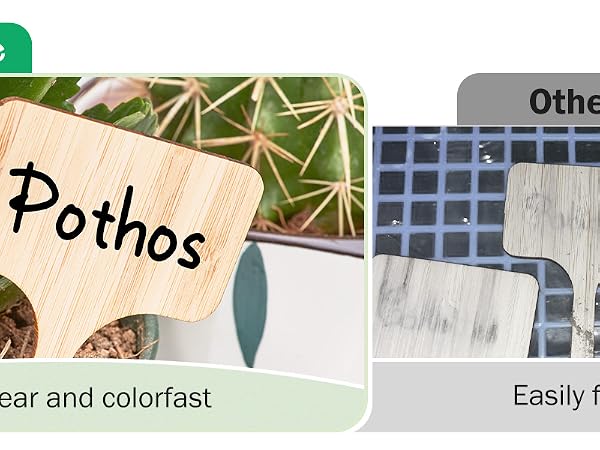 Bamboo Plant Labels