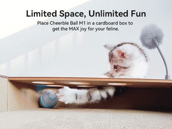 Cheerble Interactive Cat Toy
