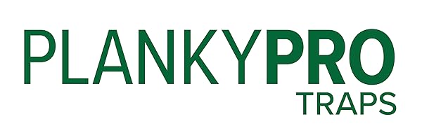 logo banner