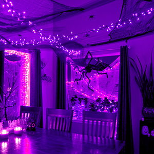 purple led lights