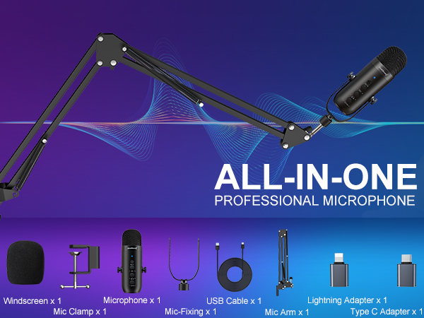 all in one mic