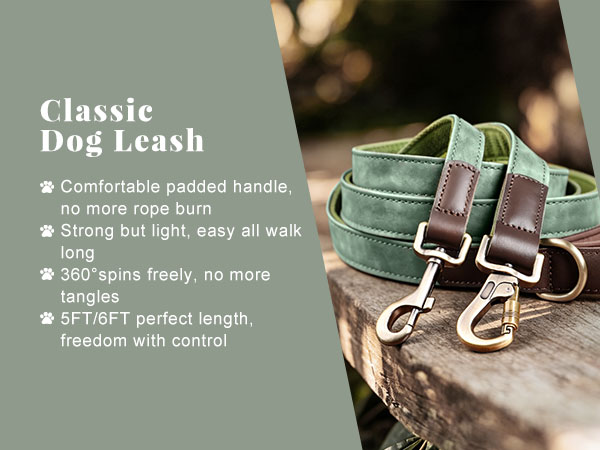classic dog leash