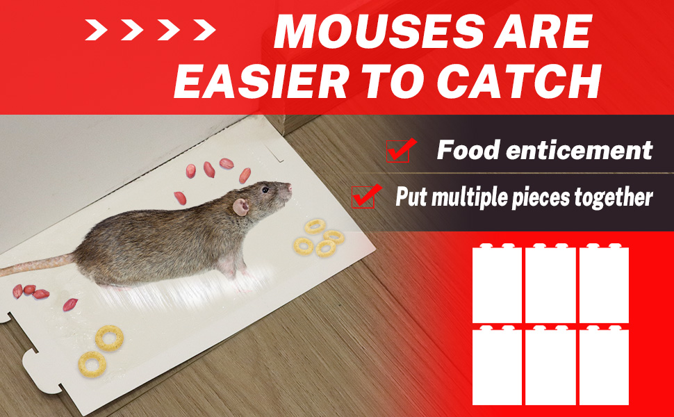 Mouses Traps