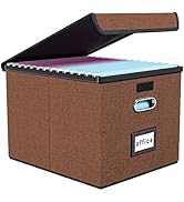 Huolewa Upgrade Portable File Organizer Box with Lid,Large Linen Hanging Office Document Storage ...