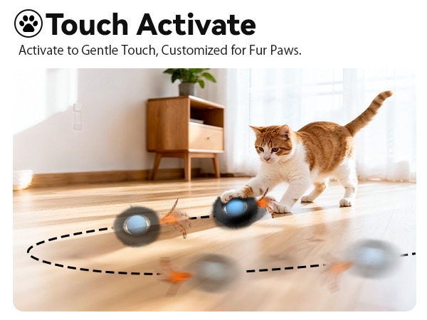 cat toys