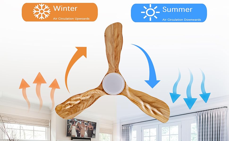 ceiling fan