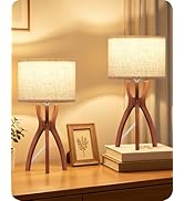 GOEBLESON Table Lamps Set of 2, LE18TLP205