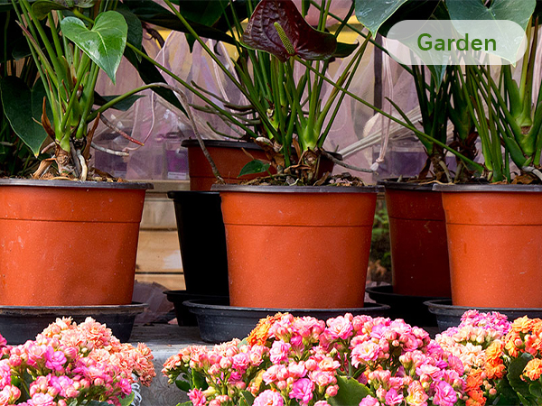 nursery pots