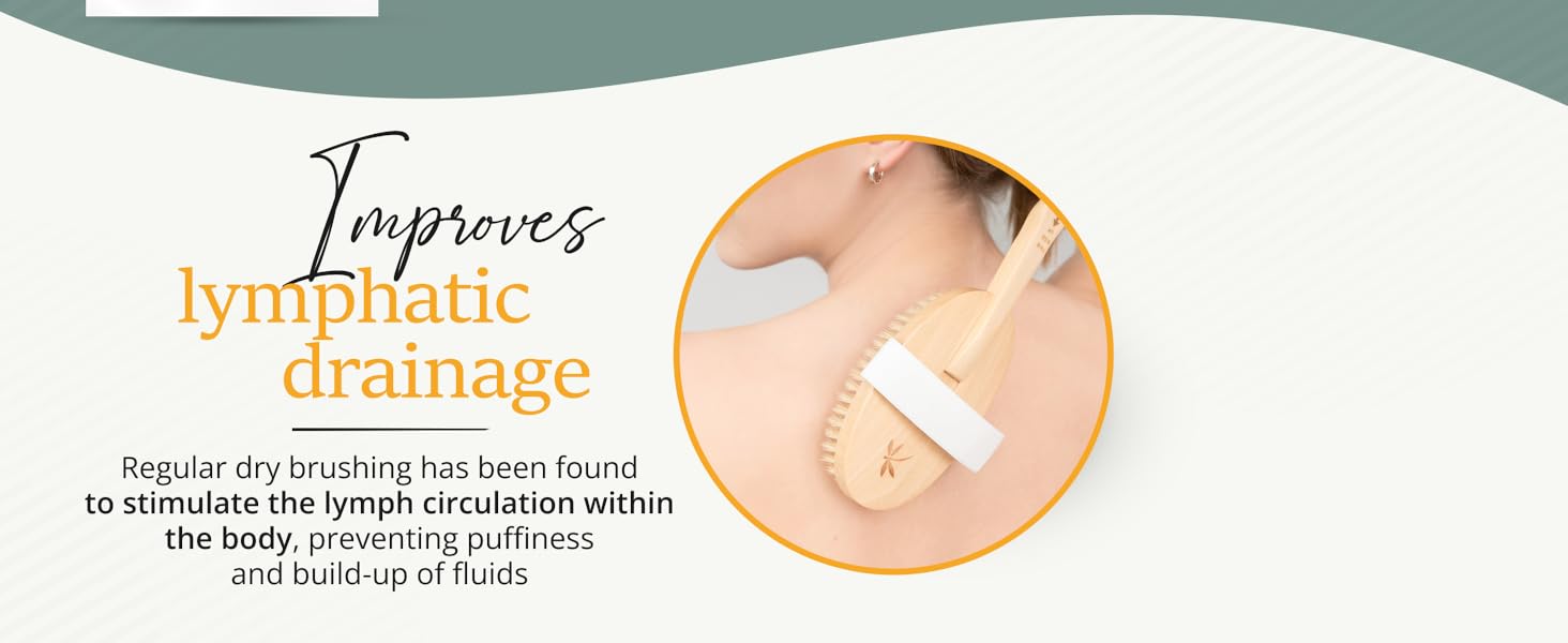 dry brushing body brush for lymphatic drainage, bath brush, dry brush, exfoliator