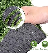 grass