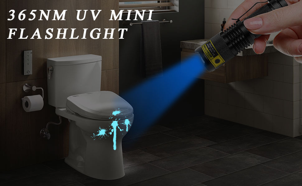 uv light flashlight