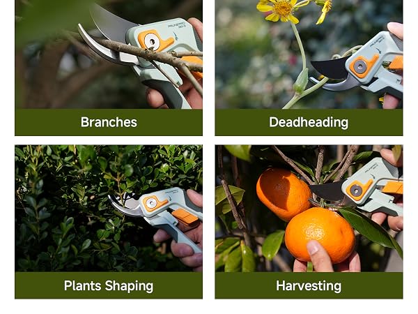 Hand Pruner