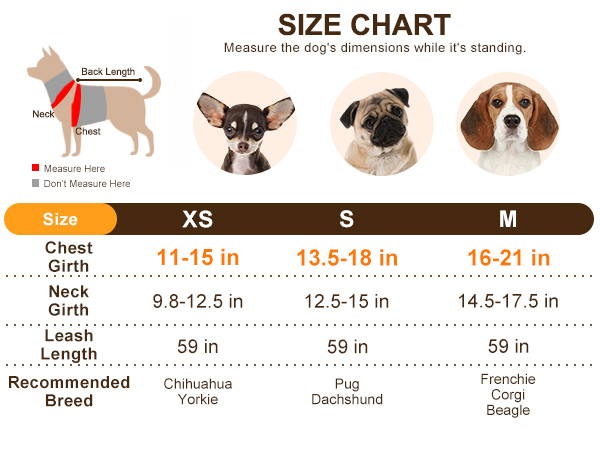 dog harness for small sized dogs