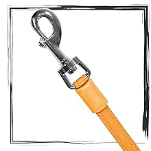 Dog Leash
