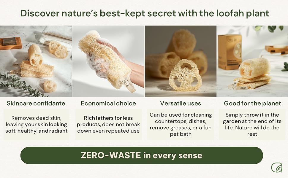 Loofah benefit cylinder