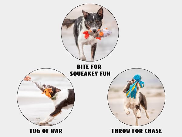 dog toys