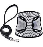 BOOMIBOO Dog Harness with Leash Set, No Pull Adjustable Reflective Step-in Puppy Pet Vest Harness...