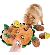 iLifeTech Dog Carrot Toy,Snuffle Mat for Dogs Plush Puzzle Toys Interactive Puppy Toys with 6 Car...