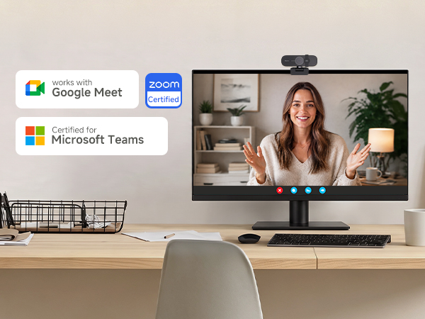 Professional Video Conferencing
