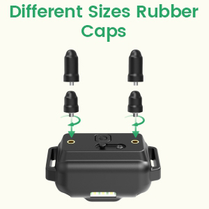 training collar for dogs