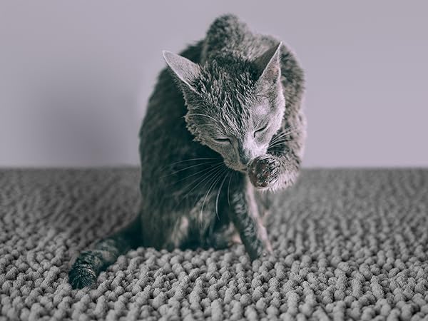 cat litter mat box trapping for matt kitty xl large supplies indoor cats things litterbox catcher