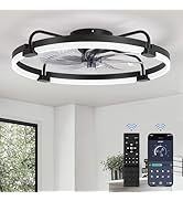 LEDIARY Ceiling Fans with Lights and Remote, 24'' Low Profile Ceiling Fan with Light, 3000-6000K ...
