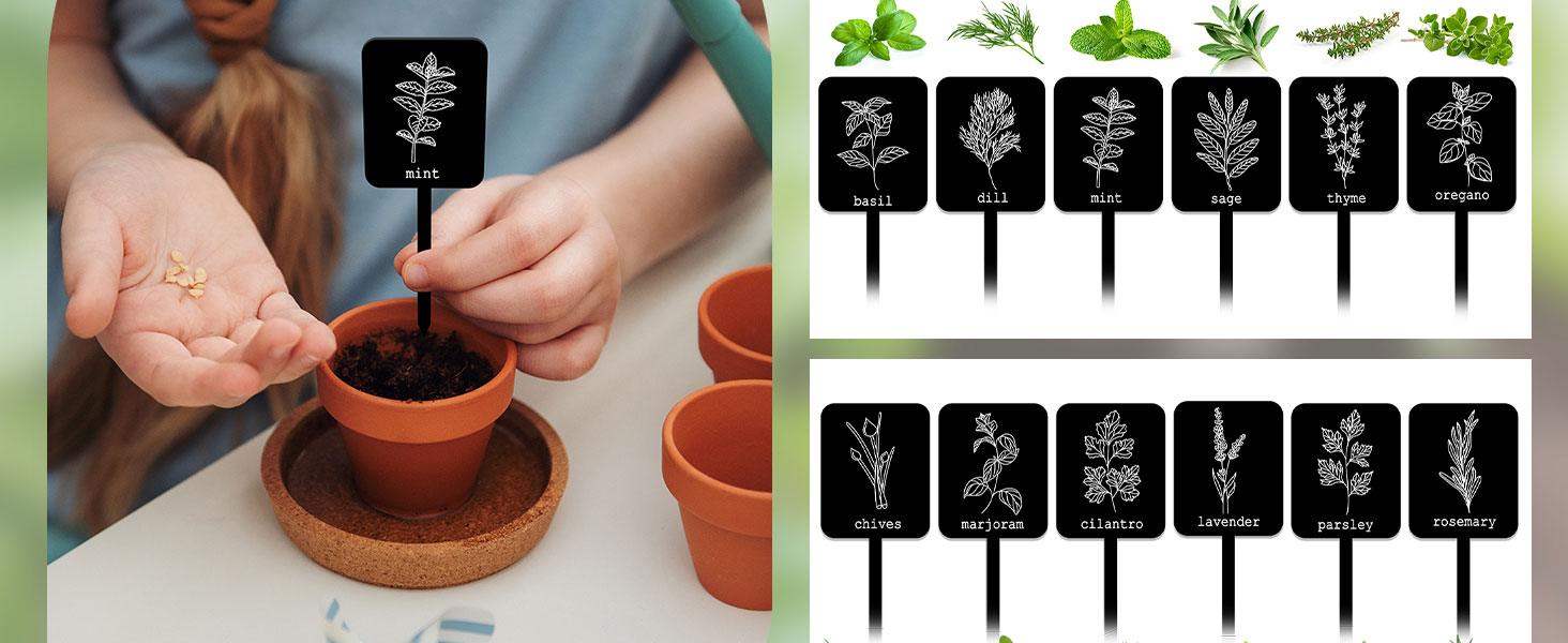 Acrylic Plant Label Signs