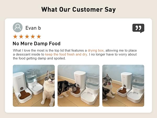 cat feeder
