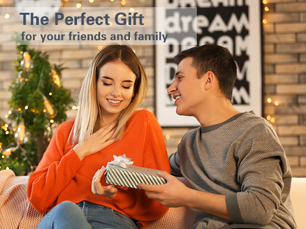 Milk Frother Handheld