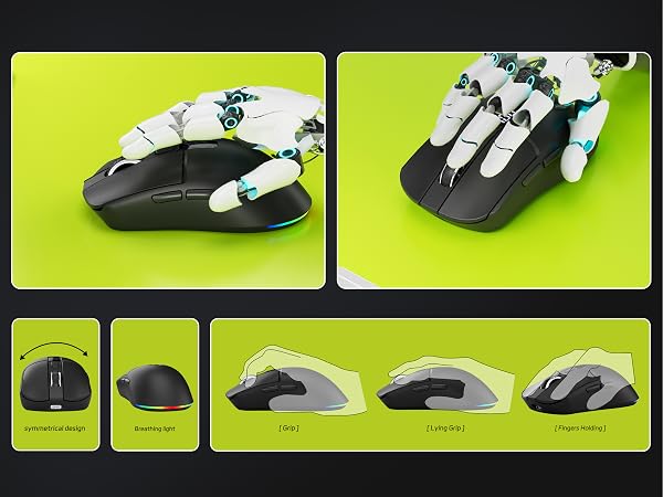 mouse