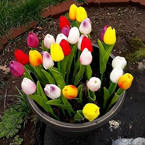 Fake Tulips Flowers
