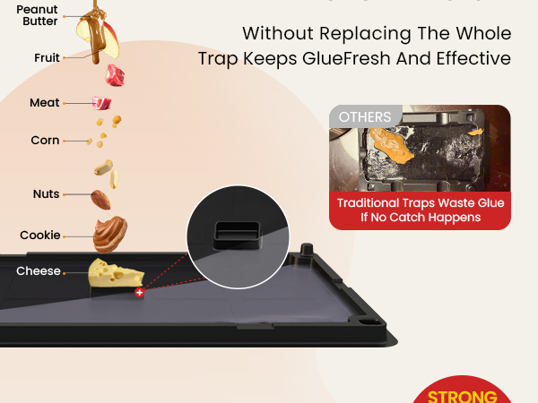 Wowcatch Mouse Glue Traps