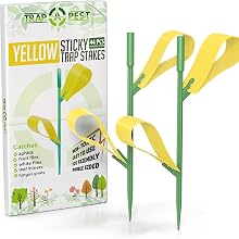 yellow sticky stakes
