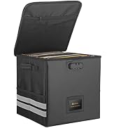 Neoteck Vinyl Record Storage Box with Lock Holds Up to 62 PCS Vinyl Records Foldable LP Storage O...
