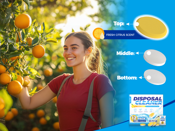 Garbage Disposal Cleaner