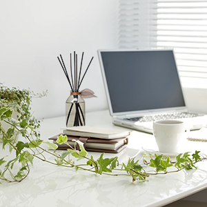 office scented candles office reed diffuser sticks scented office decor scented office supplies gift